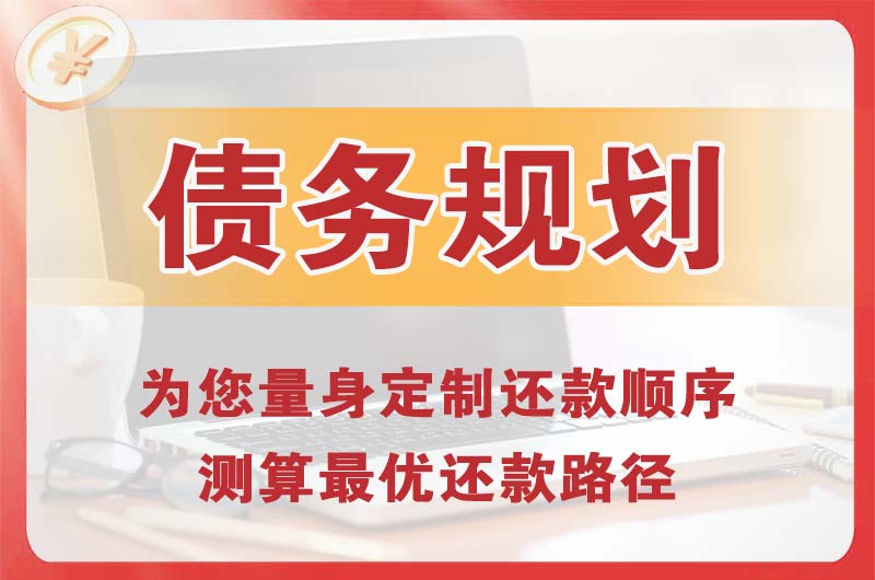 海珠债务规划